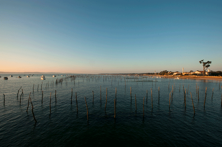 ostreiculture bassin arcachon et cap ferret