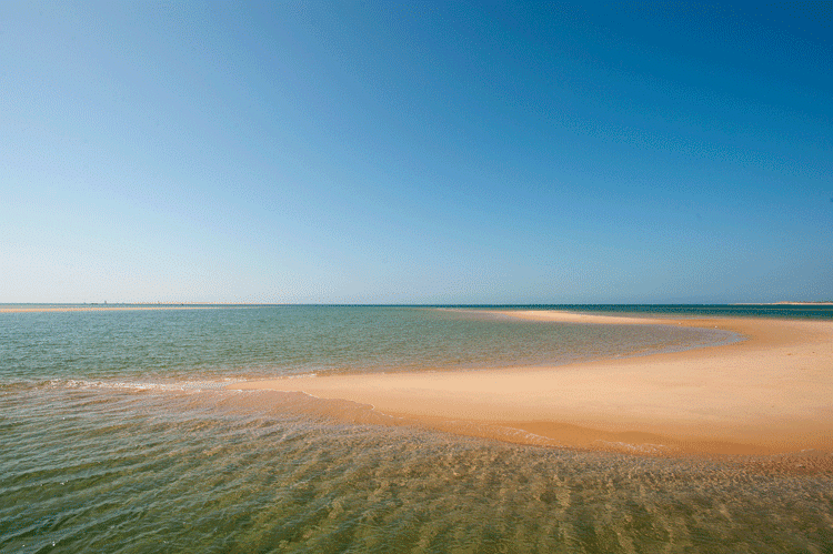 bassin arcachon et marée