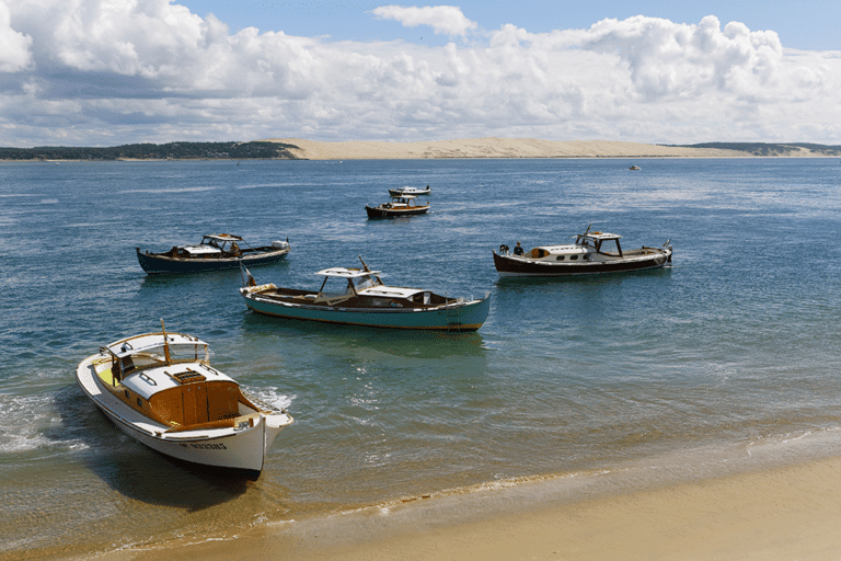 cinq pinasses traditionnelles sur le bassin